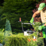 Gartenarbeiten im Herbst