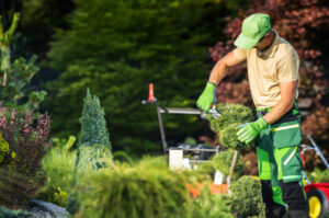Gartenarbeiten im Herbst