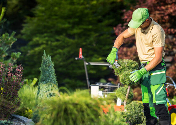 Gartenarbeiten im Herbst