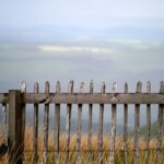neuen Zaun bauen